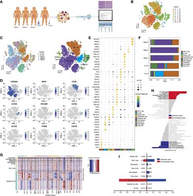 Integrated single-cell transcriptome analysis of the tumor ecosystems underlying cervical cancer metastasis